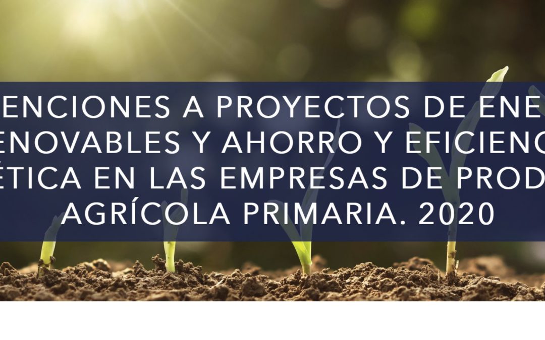 Subvenciones a proyectos de energía renovables y ahorro y eficiencia energética en las empresas de producción agrícola primaria. 2020